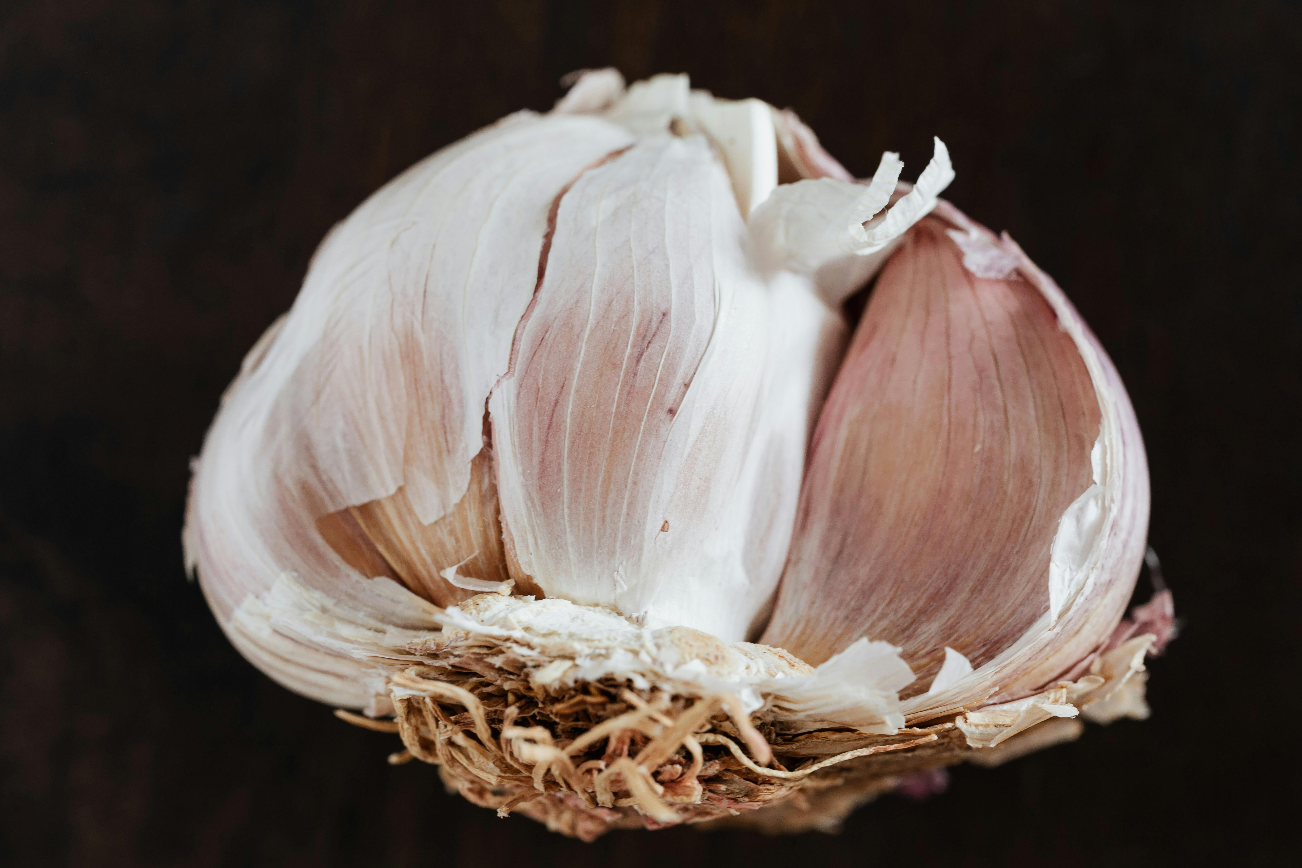 Cooking with Ideal Protein Diet