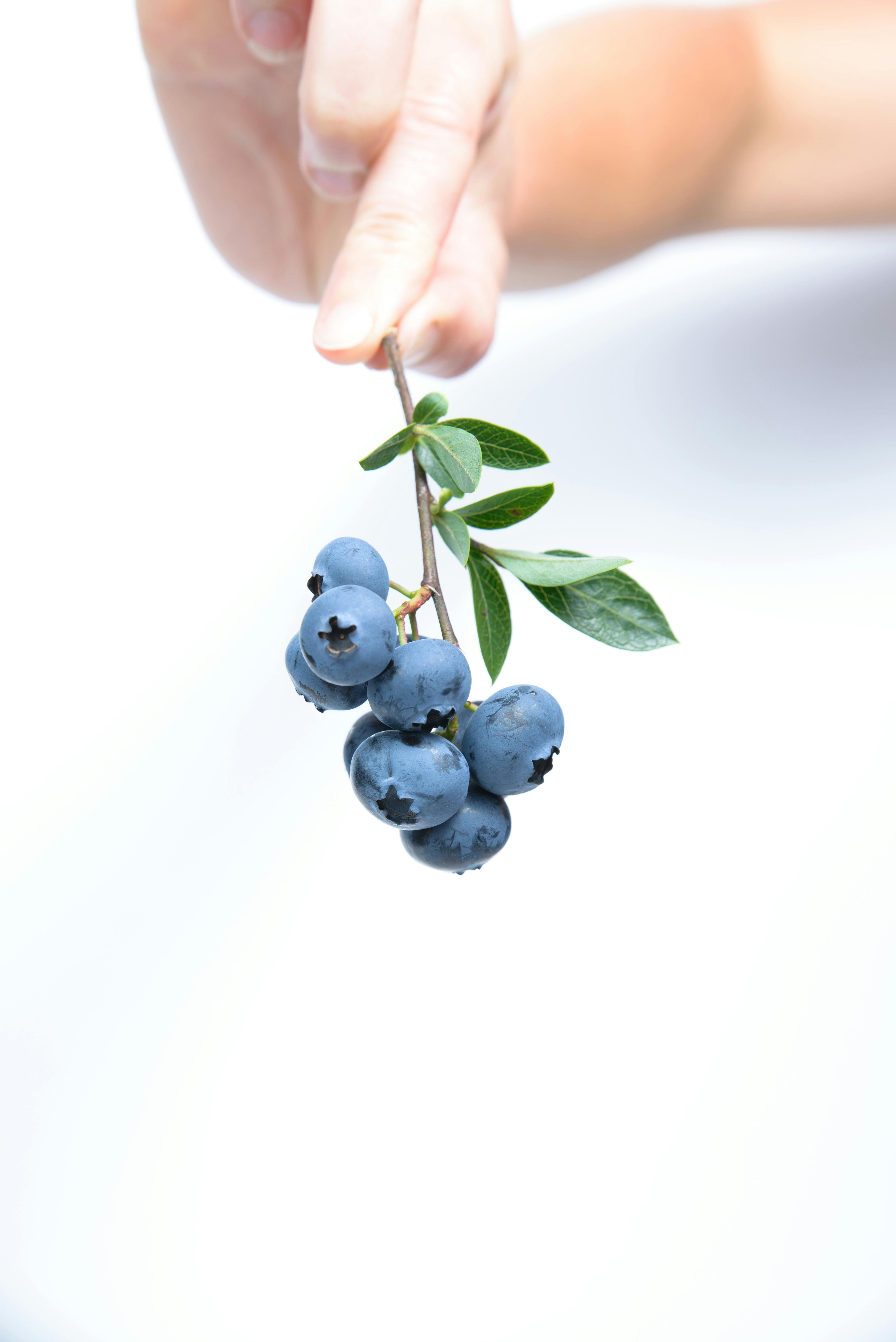 Top 5 Healthiest Fruit Snacks to Enjoy in 2025