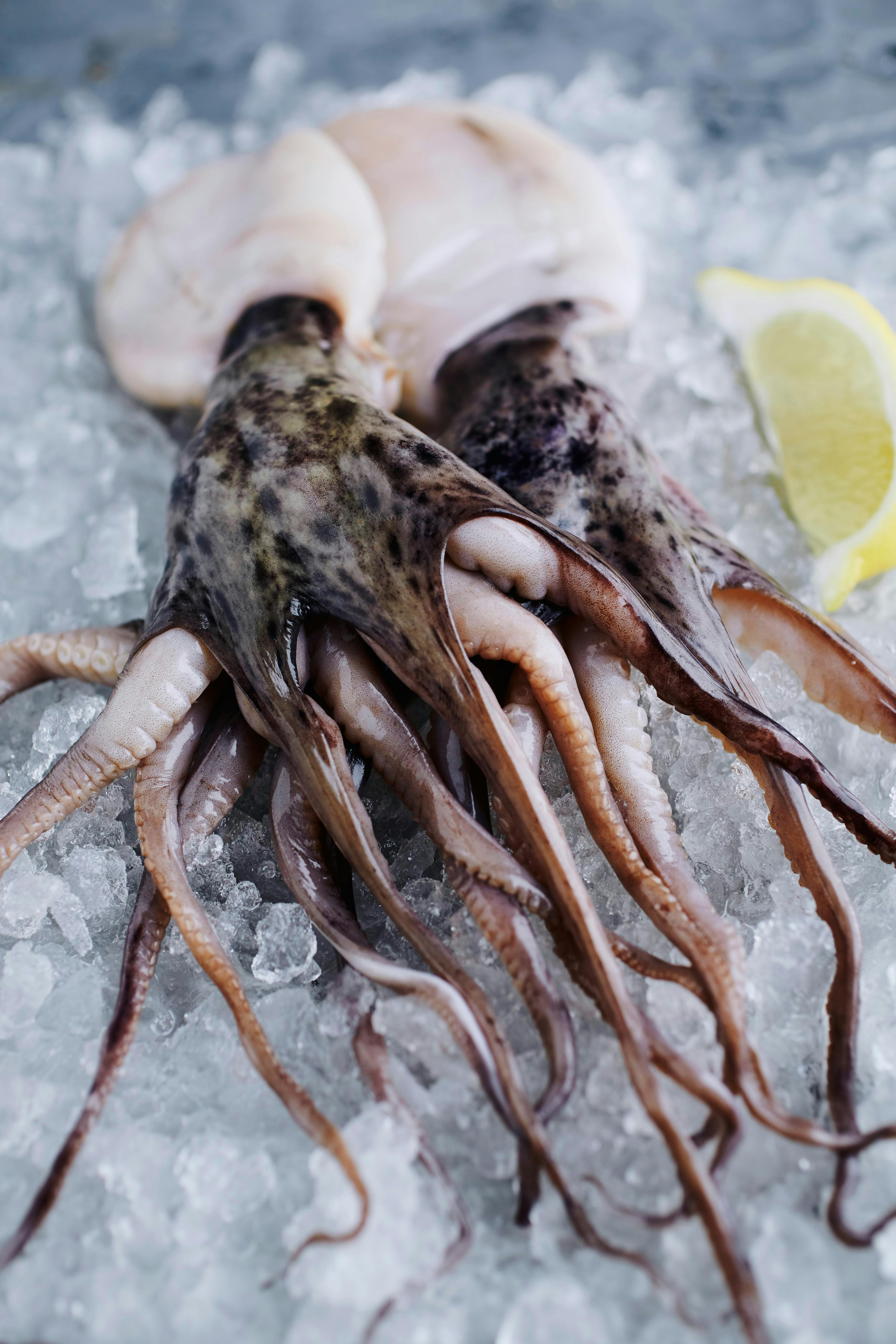 Dietary Needs of Trichonephila Clavata