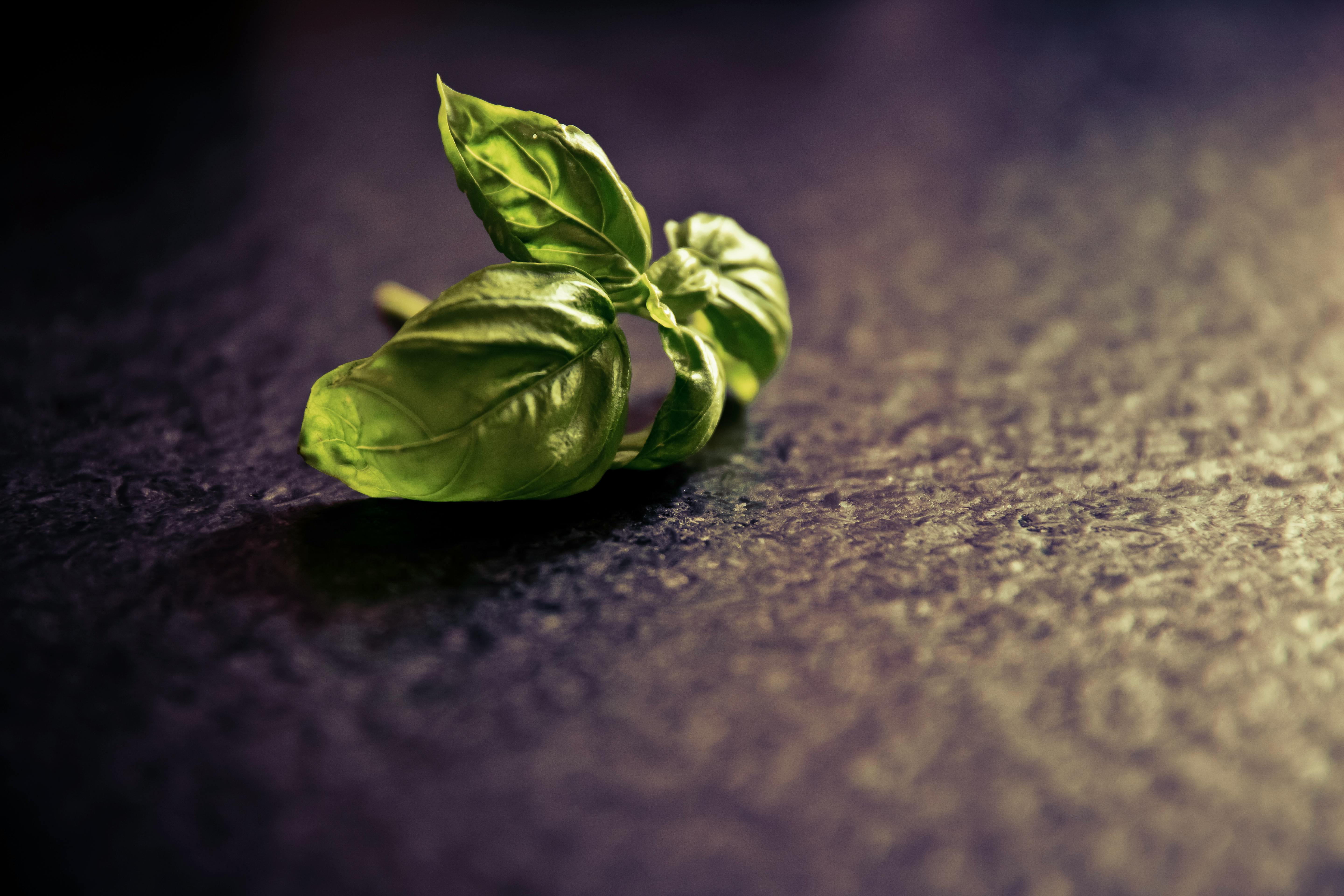 Smart Ways to Celebrate National Nutrition Month 2024 and Succeed