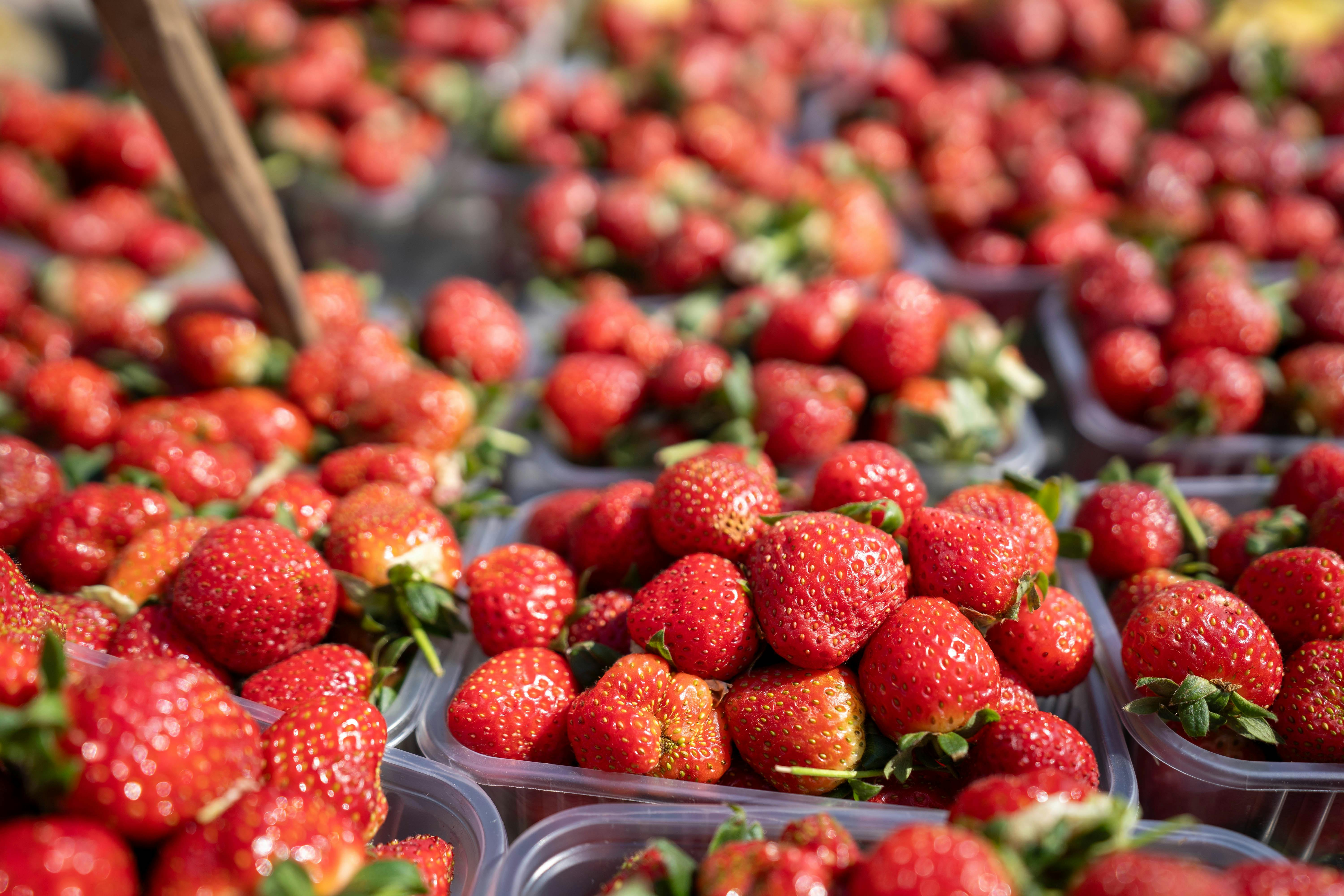 Practical Guide to Creating a 7-Day Vegetarian Meal Plan for 2025