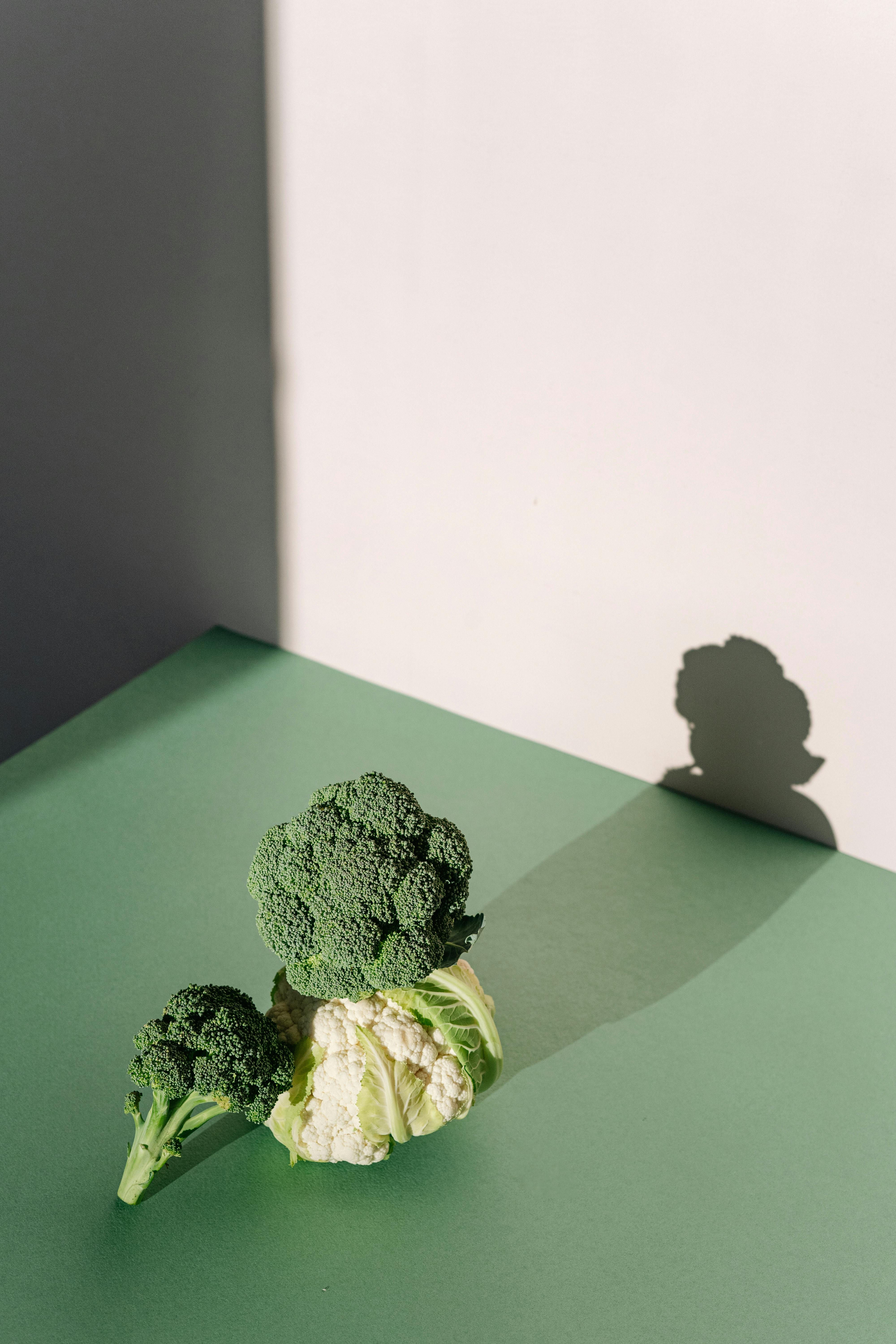 Essential Guide to Major Food Groups for a Balanced Diet in 2025
