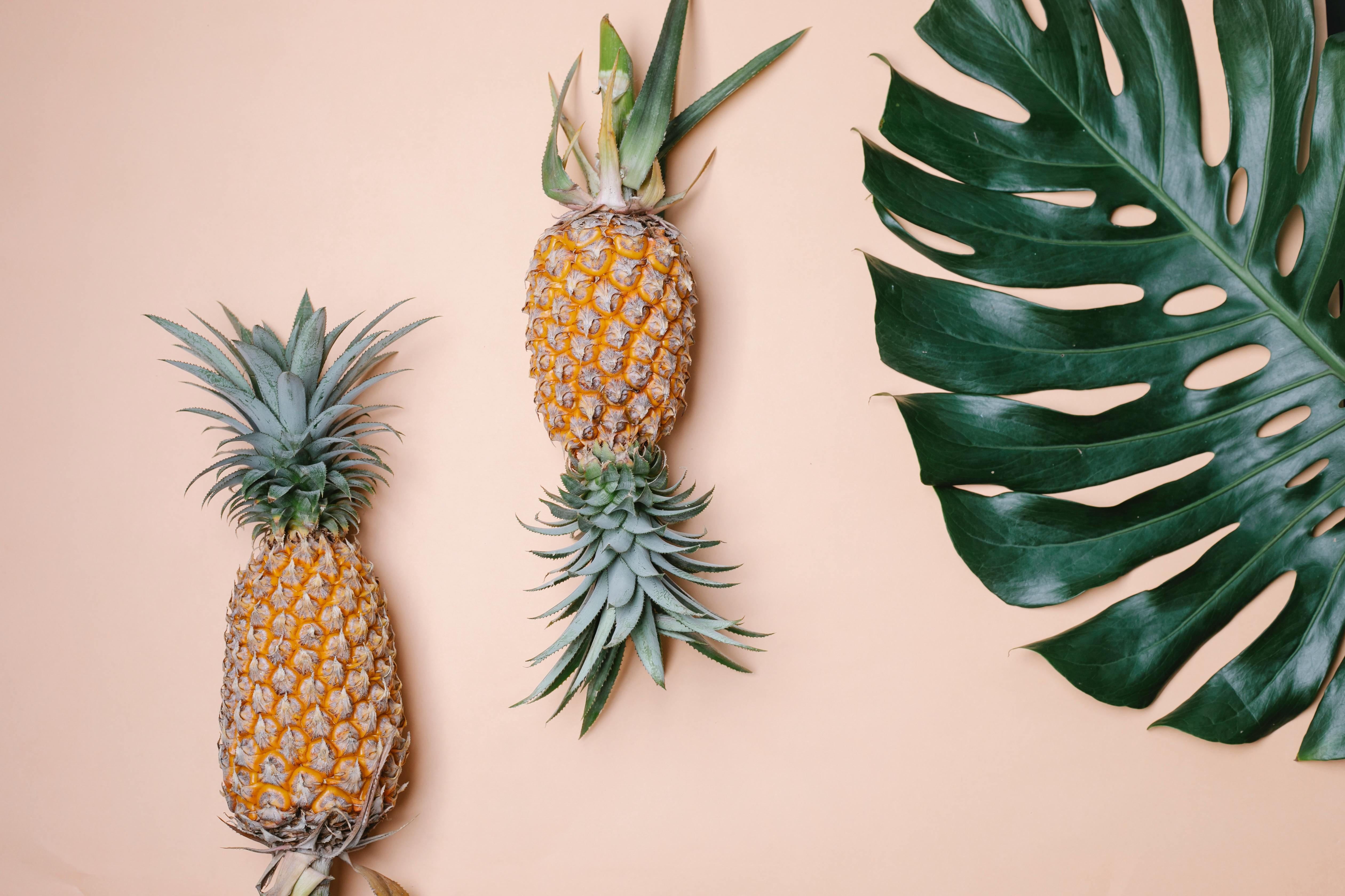 Smart Ways to Understand Carnivore Diet vs Keto: Explore Key Differences for 2025