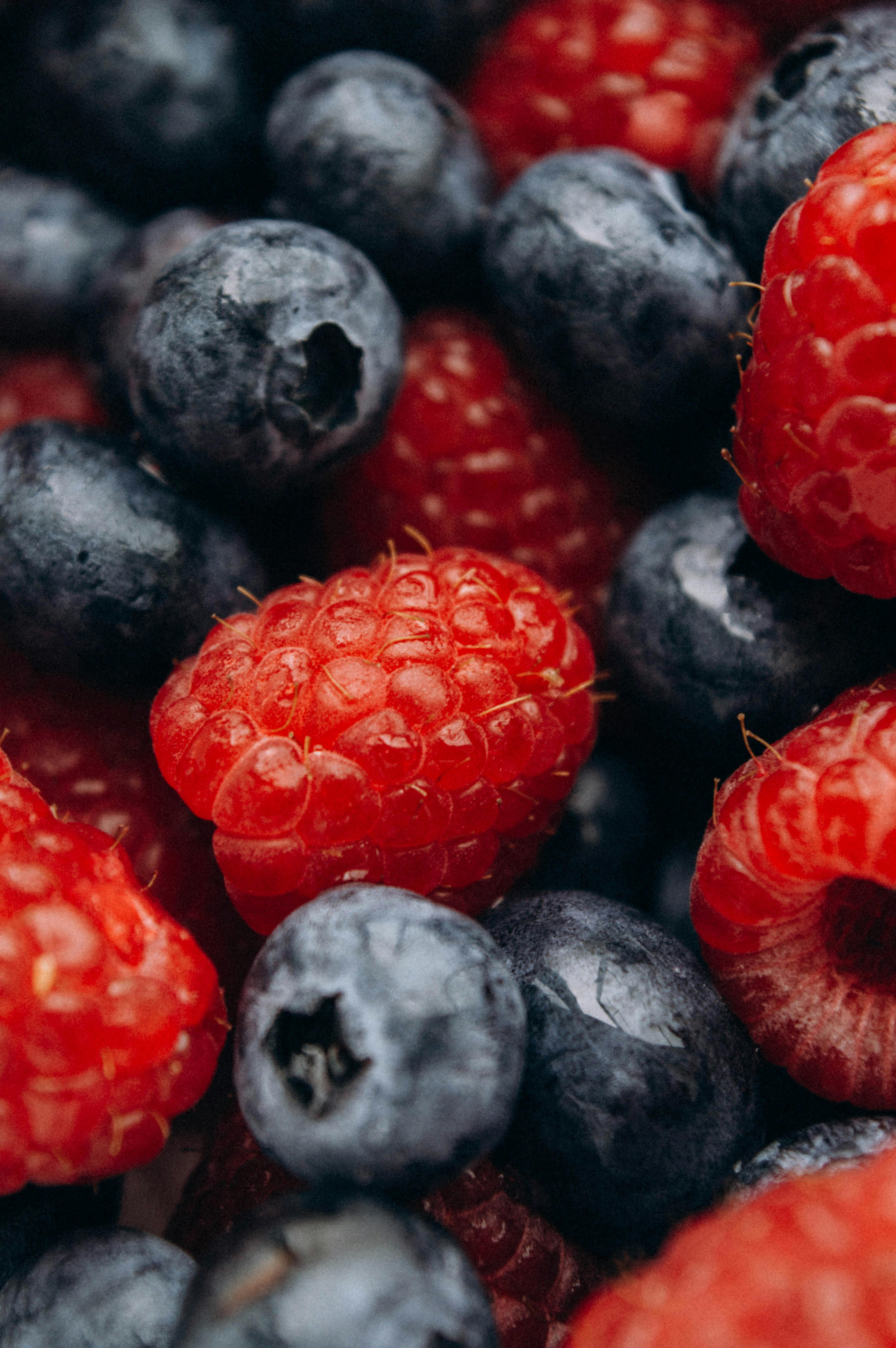 Discover the Latest Mediterranean Cuisine Trends of 2025