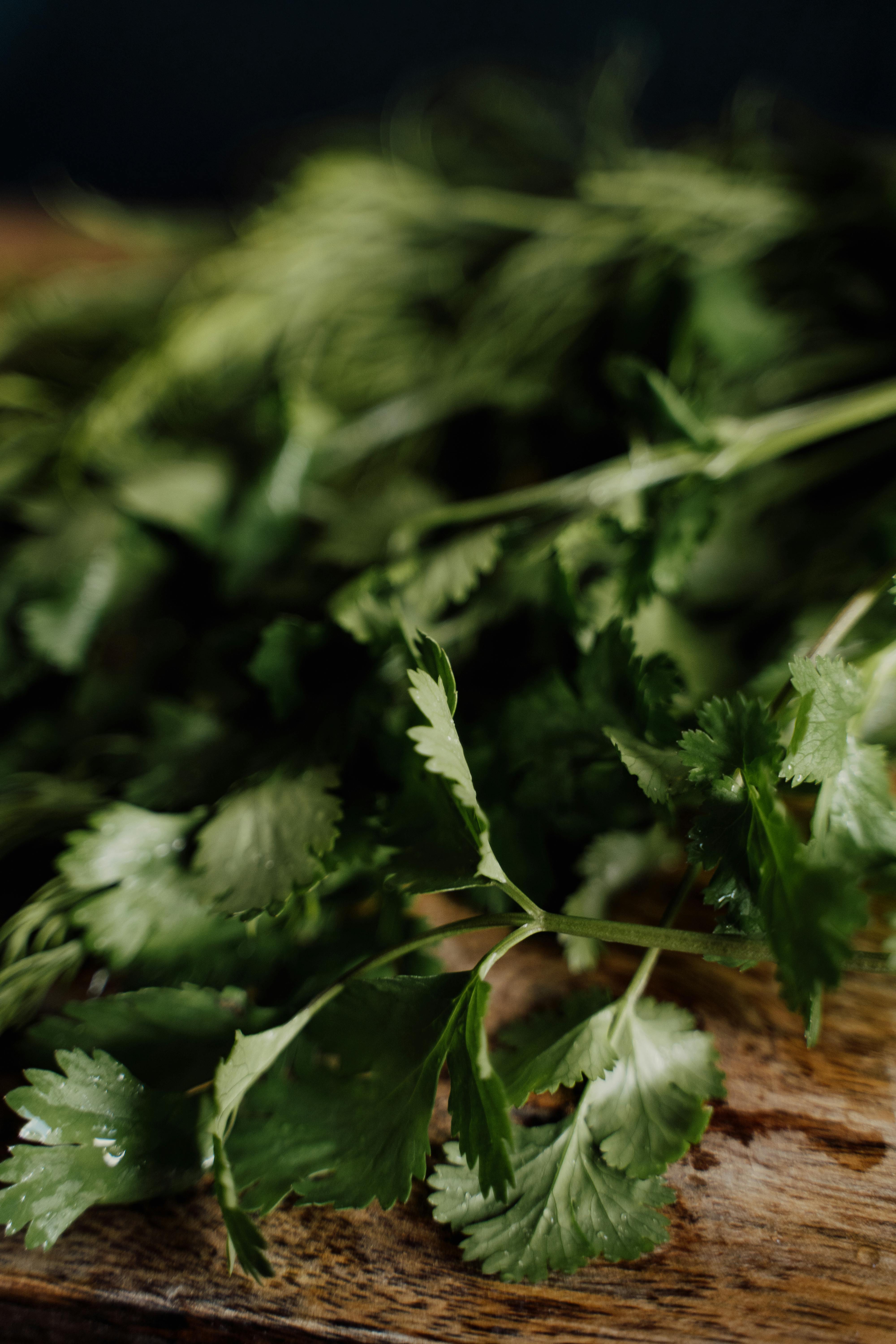 Essential Guide to Whole Foods Return Policy in 2025: Discover Your Rights