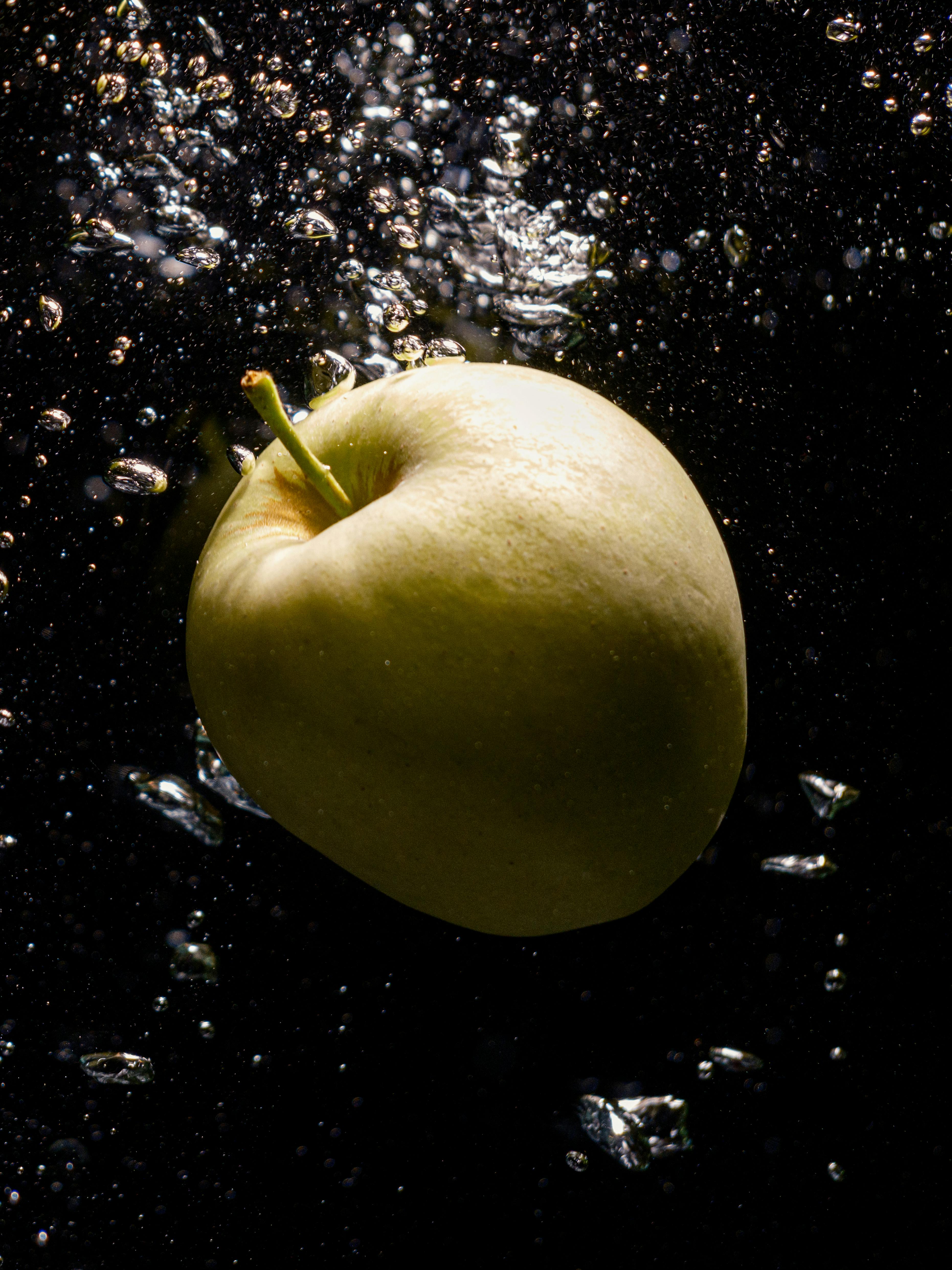 Science Diet Sensitive Stomach