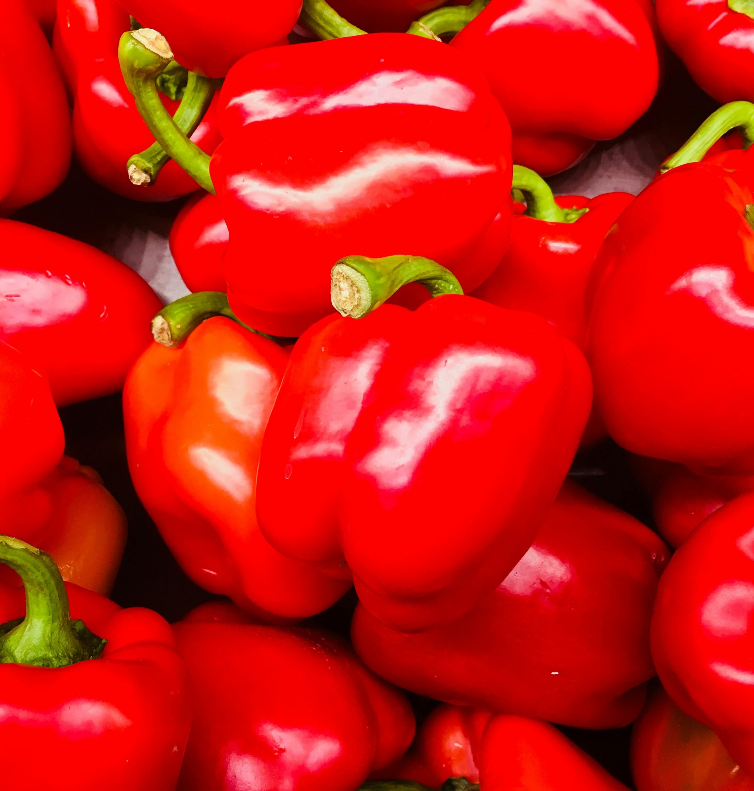 Smart Ways to Enjoy Vegetarian Mediterranean Recipes in 2025