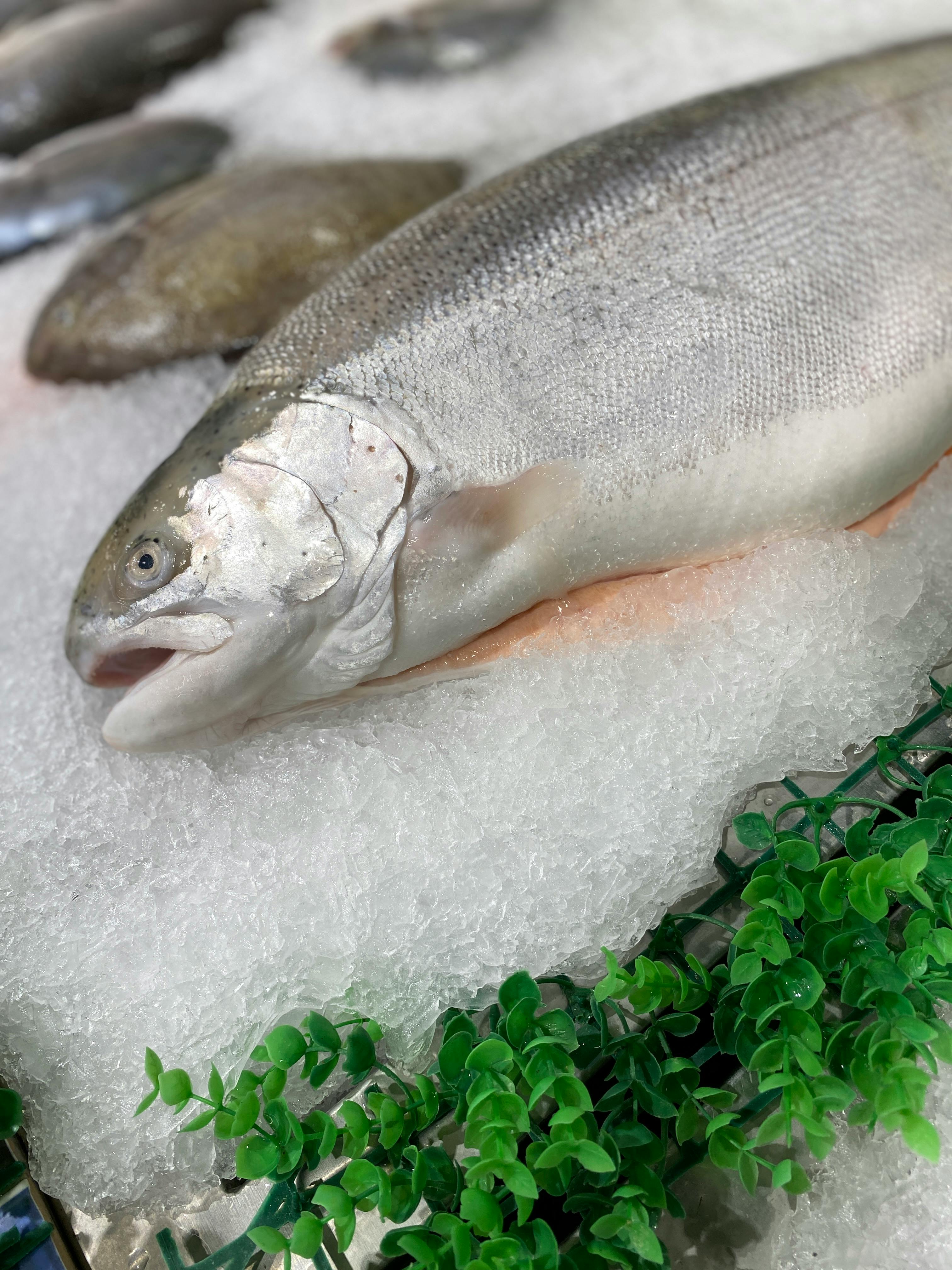 Smart Ways to Optimize Half and Half Nutrition for 2025