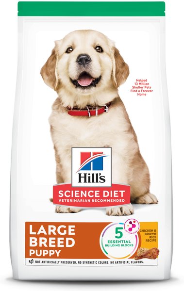 Effective Ways to Choose the Best Hill’s Science Diet Puppy Food in 2025