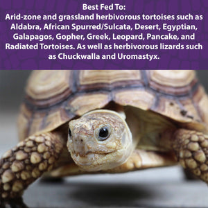 Essential Guide to Sulcata Tortoise Diet for Improved Health in 2025