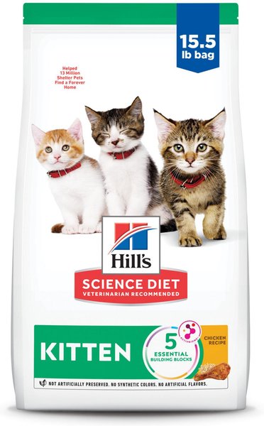 Essential Guide to Science Diet Kitten Food: Improve Your Kitten’s Health in 2025