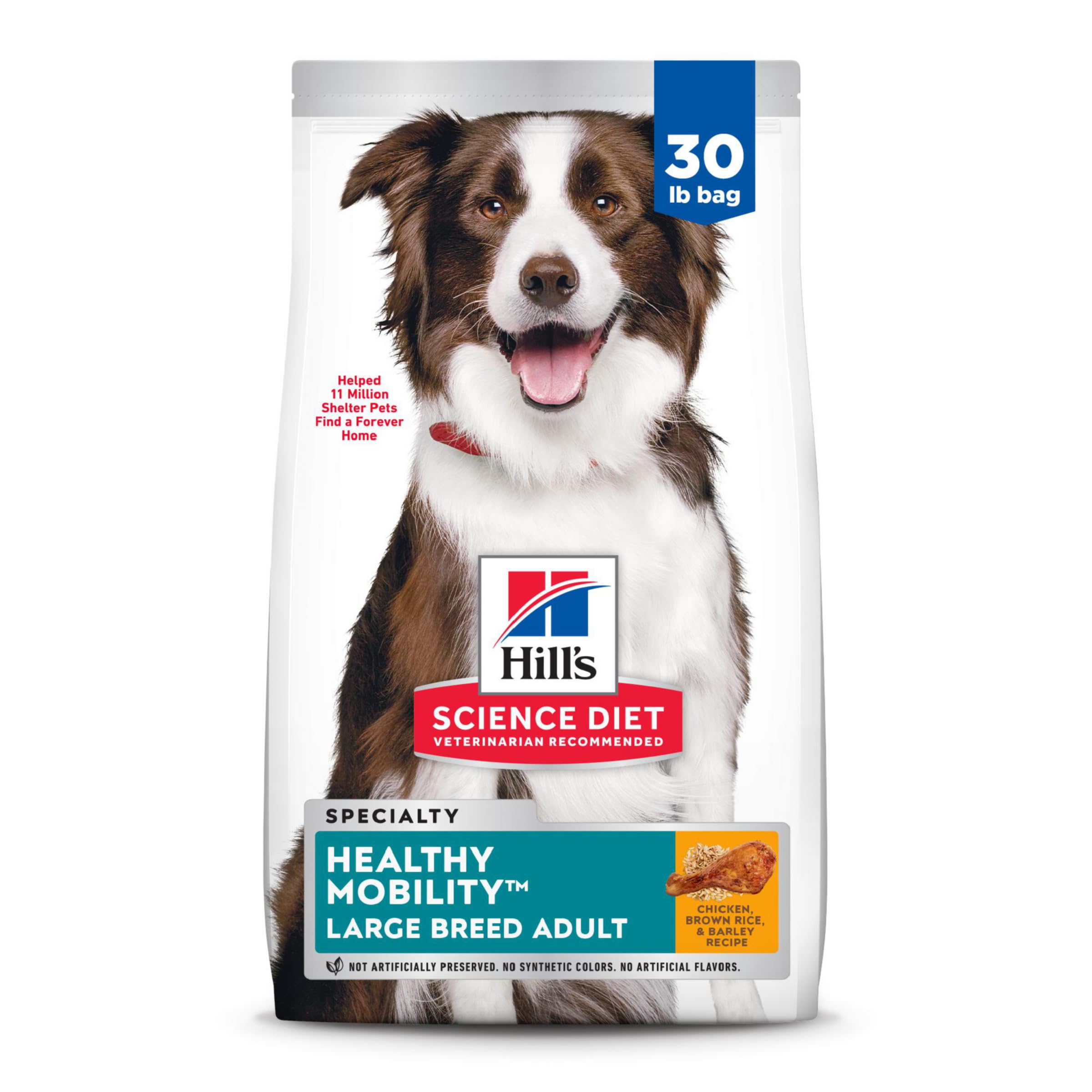 Best 7 Hills Science Diet Options to Improve Your Pet’s Health in 2025