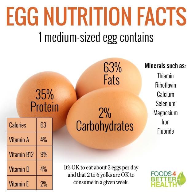 Top 5 Benefits of Protein in 3 Eggs: Enhance Your Diet for 2025!