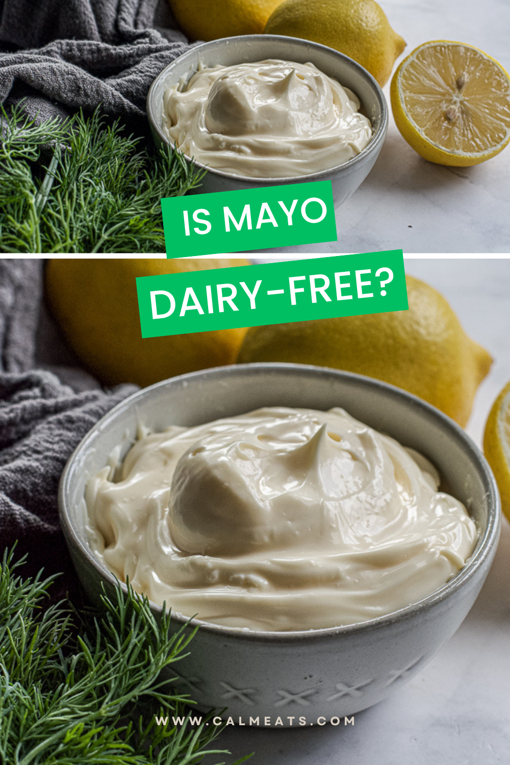 Is Mayo Dairy Free?