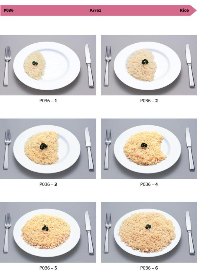 Measuring Rice Portions