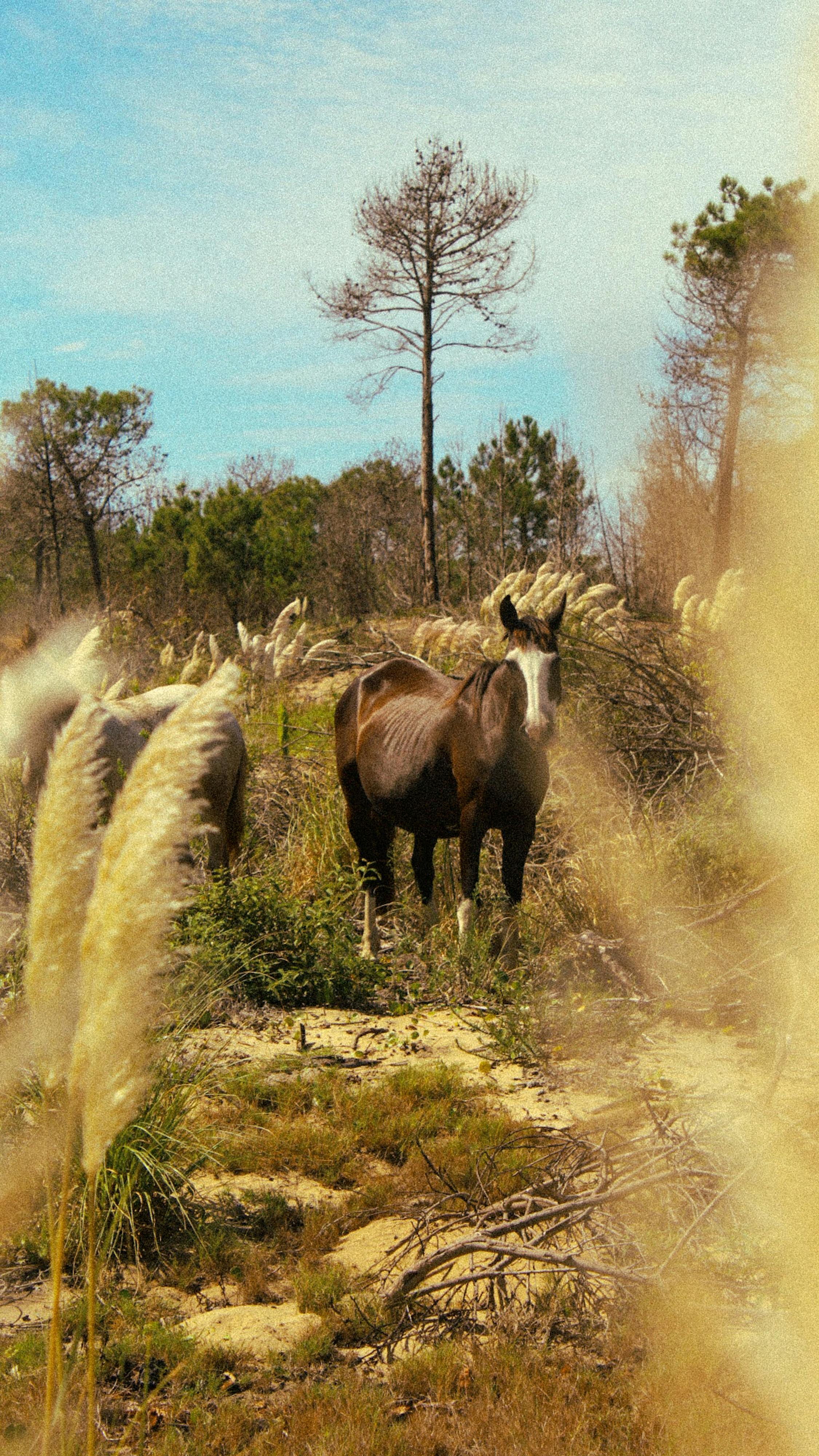 Colorado Agricultural Practices